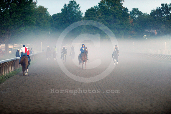 saratoga morning