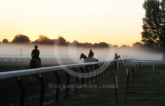 saratoga morning
