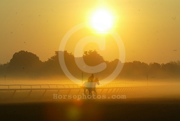saratoga morning