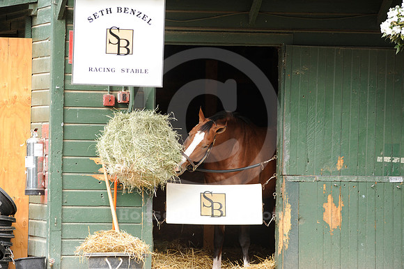 saratoga morning