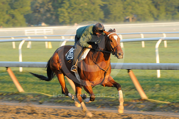saratoga morning