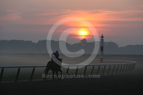 belmontparksunrise02_mjm