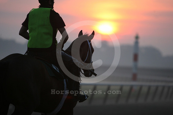 belmontparksunrise01_mjm