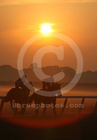belmontparksunrise03_mjm