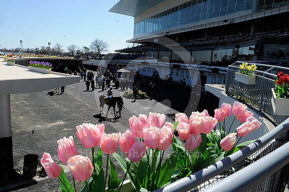aqueduct_paddock01_hr
