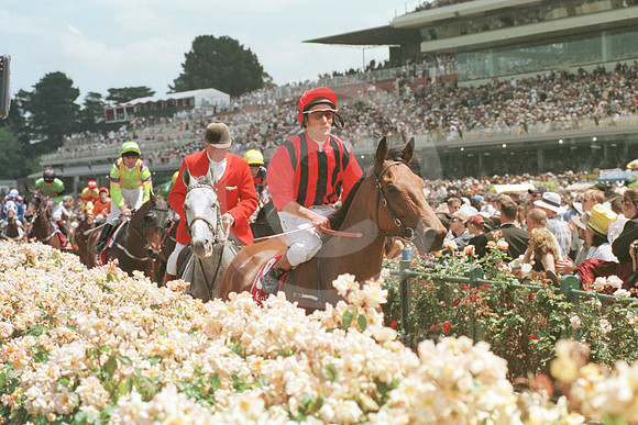 flemingtonracetrack04_ql