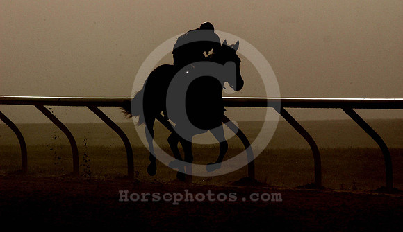 morningmist03_jd