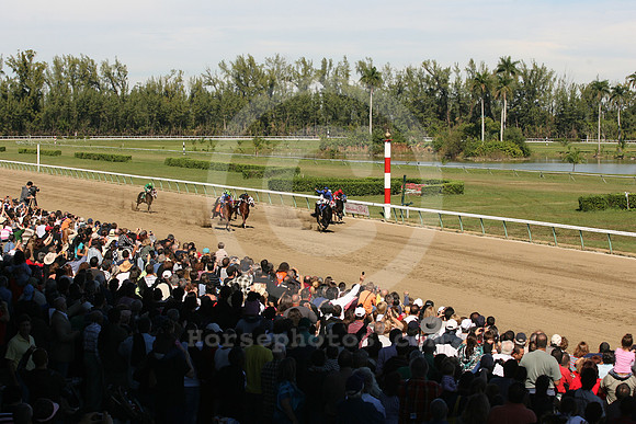 hialeahpark2009_01_gg