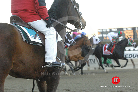 aqueduct_outrider01a_rw