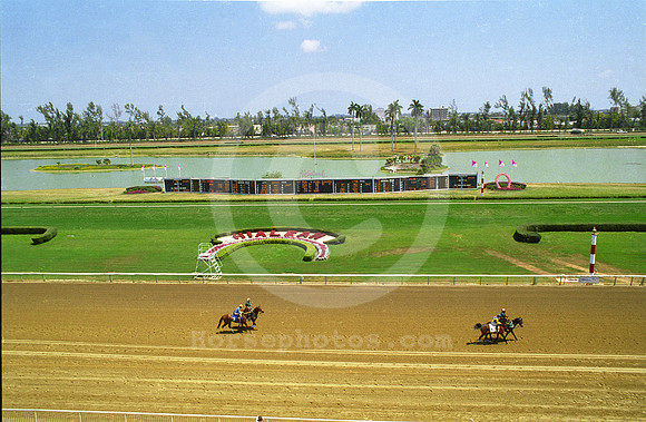 hialeahpark174_jd