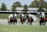 kentuckydowns11_ev