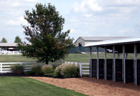 kentuckydowns21_ev