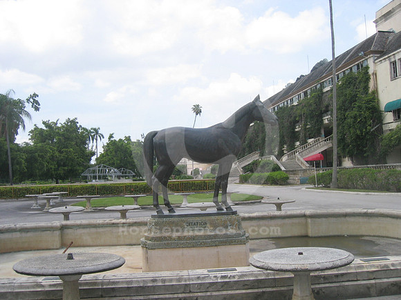 hialeahpark106_hr