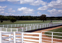 kentuckydowns20_ev