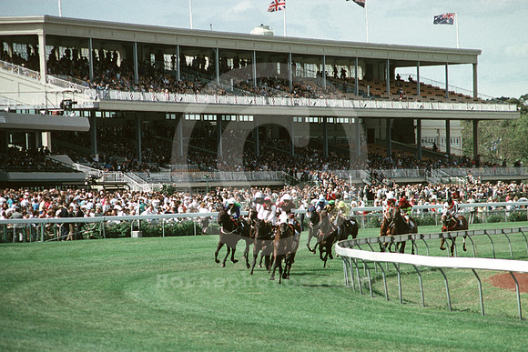flemingtonracetrack05_ql