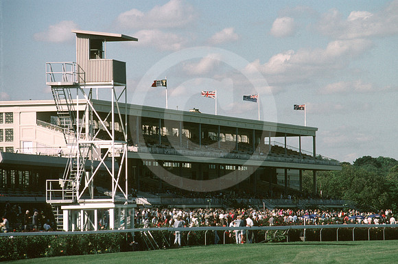 flemingtonracetrack03_ql