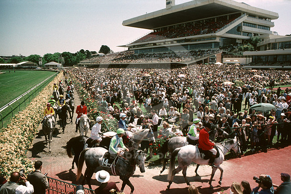 flemingtonracetrack02_ql