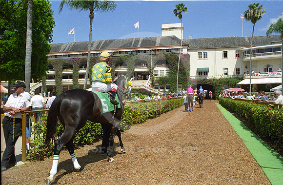 hialeahpark170_jd