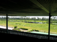hialeahpark12_hr