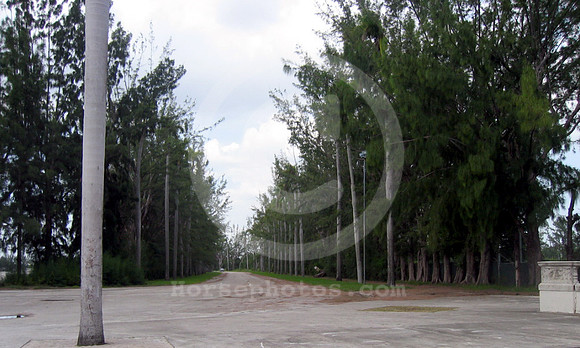 hialeahpark77_hr