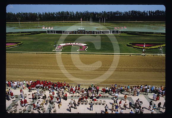 hialeahpark178_hr