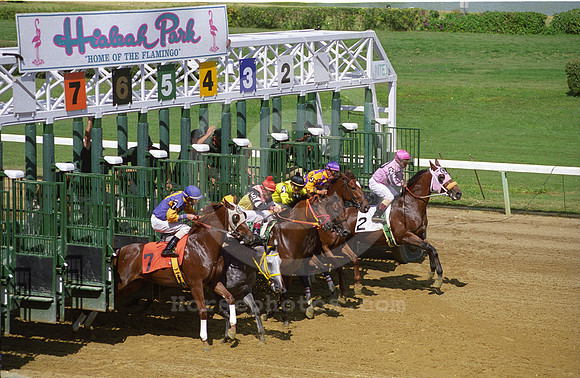 hialeahpark177_jd
