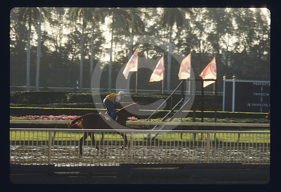 hialeahpark179_hr
