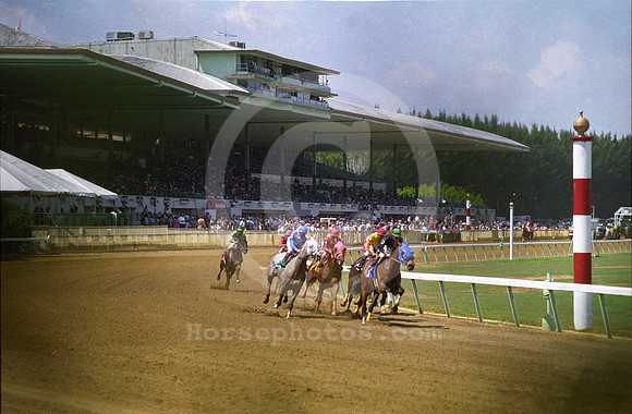 hialeahpark171_jd
