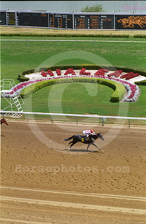hialeahpark176_jd