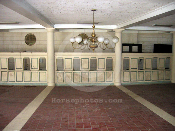 hialeahpark100_hr