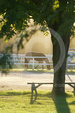 morningsunrise_mjm