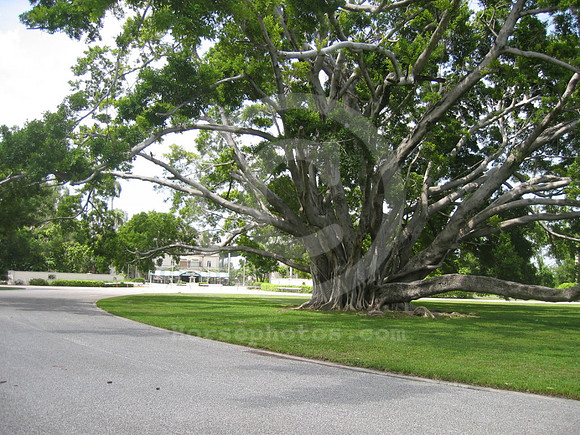 hialeahpark159_hr