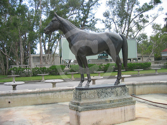 hialeahpark63_hr