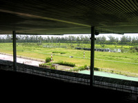 hialeahpark11_hr