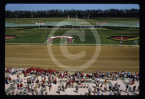 hialeahpark182_hr