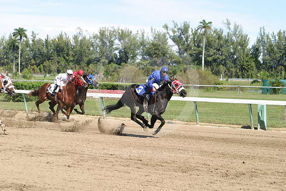 hialeahpark2009_17_gg