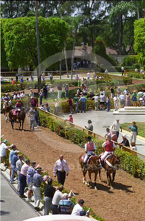 hialeahpark173_jd