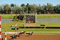 hialeah182_jn