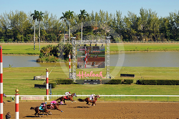 hialeah182_jn