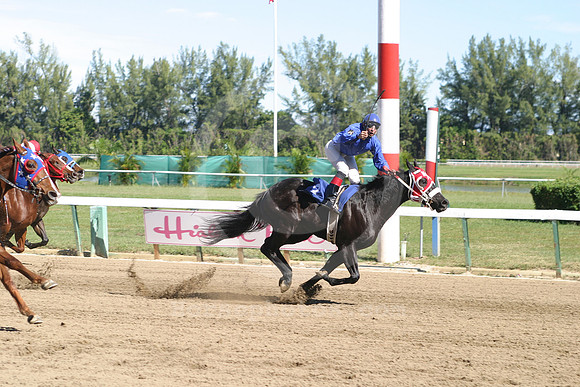 hialeahpark2009_18_gg
