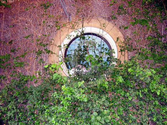 hialeahpark96_hr