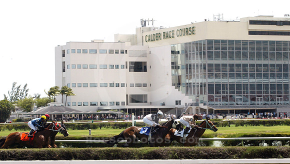 calderracecourse03_eg