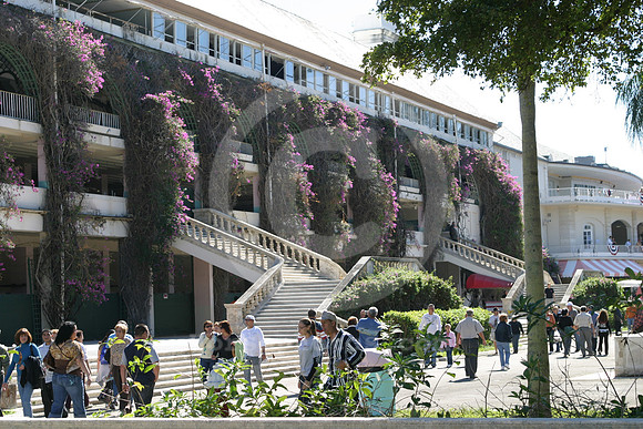hialeahpark2009_11_gg