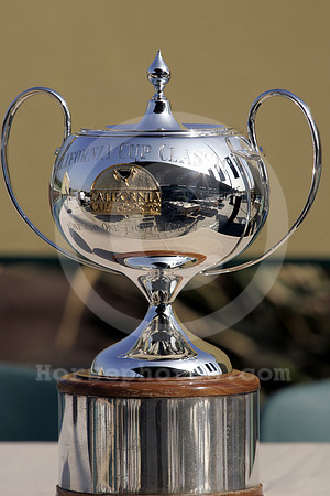 calcuptrophy01_ae