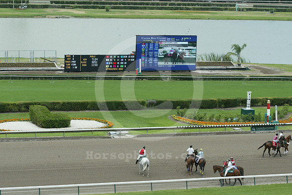 caldertoteboard04_eg