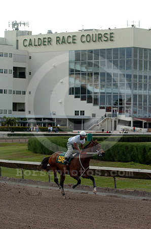calder09_jd