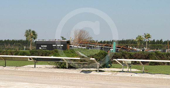 calder_wilma01_eg