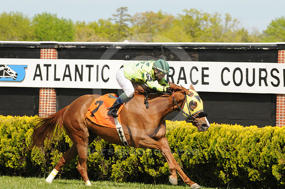atlanticcityracecourse20_me