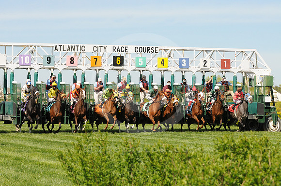 atlanticcityracecourse19_me