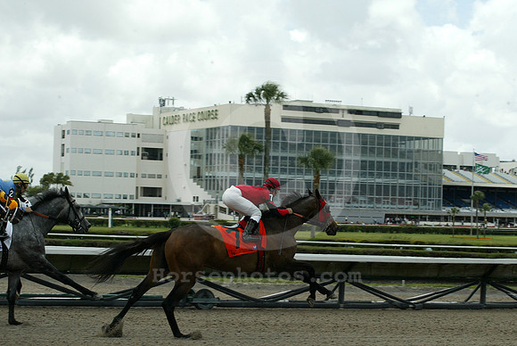 calderracecourse02_eg